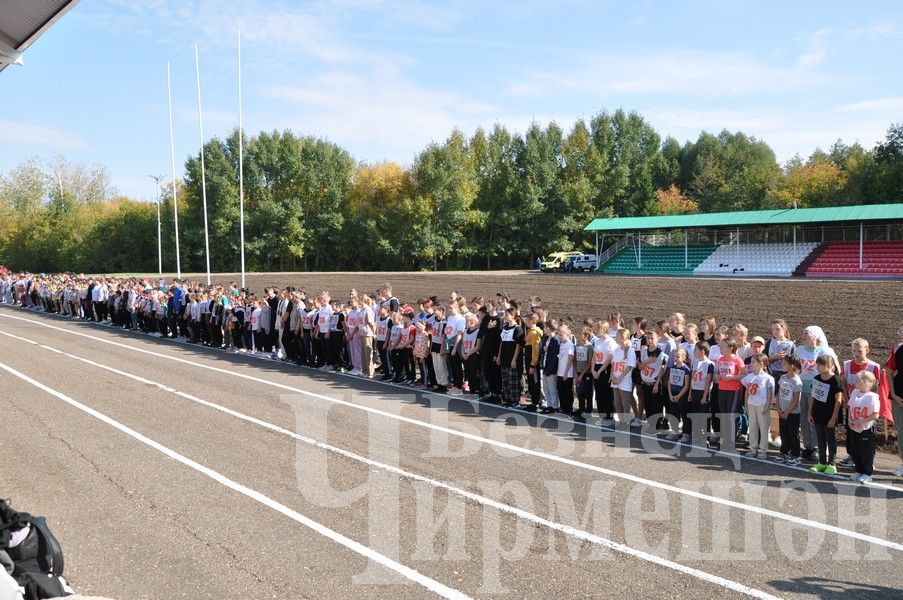 В Черемшане на Всероссийском дне бега награжденных было много (ФОТОРЕПОРТАЖ)