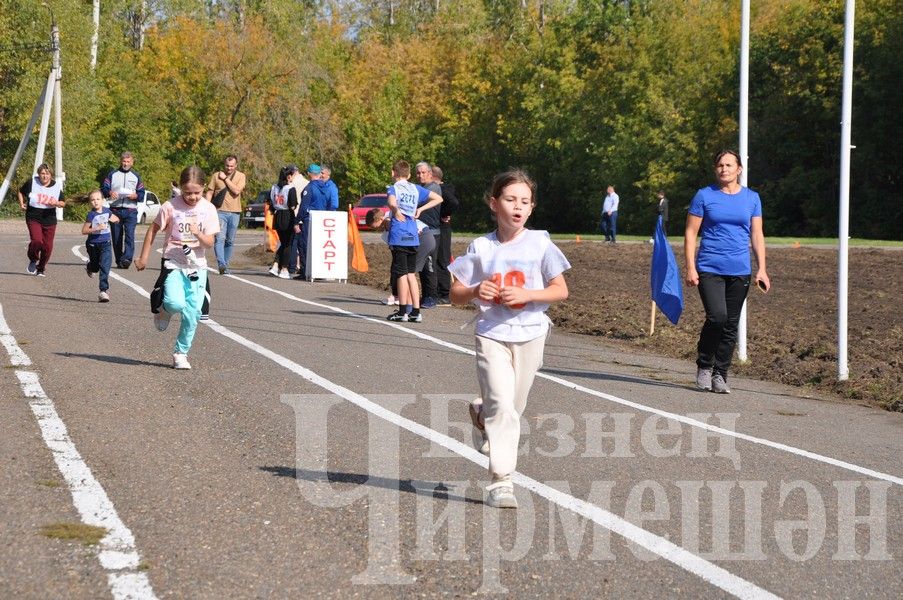 В Черемшане на Всероссийском дне бега награжденных было много (ФОТОРЕПОРТАЖ)