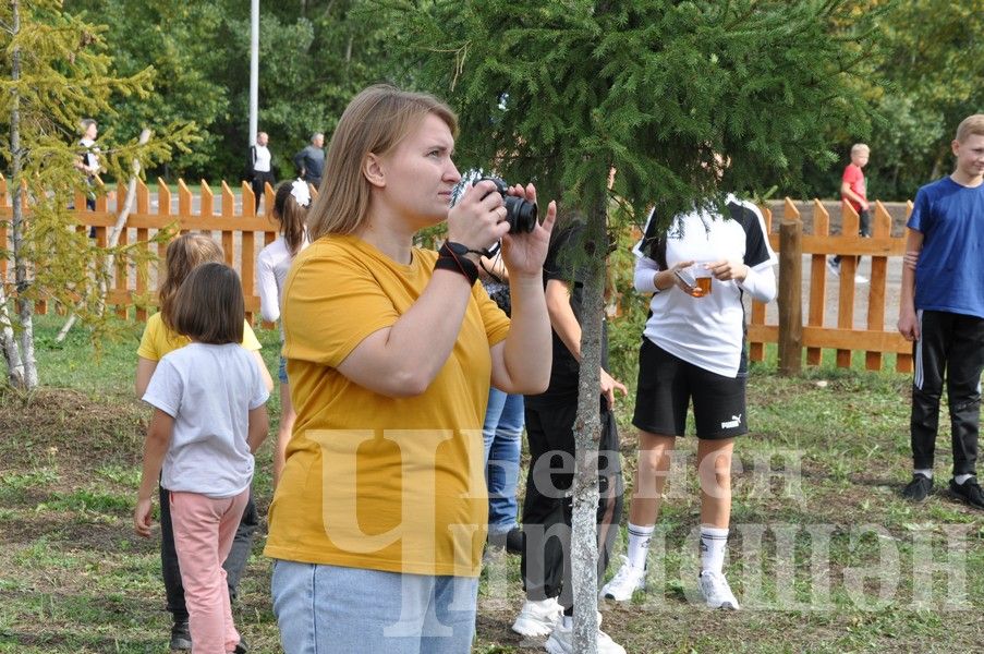 В Черемшане на Всероссийском дне бега награжденных было много (ФОТОРЕПОРТАЖ)