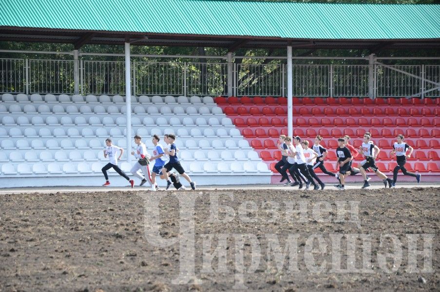 В Черемшане на Всероссийском дне бега награжденных было много (ФОТОРЕПОРТАЖ)