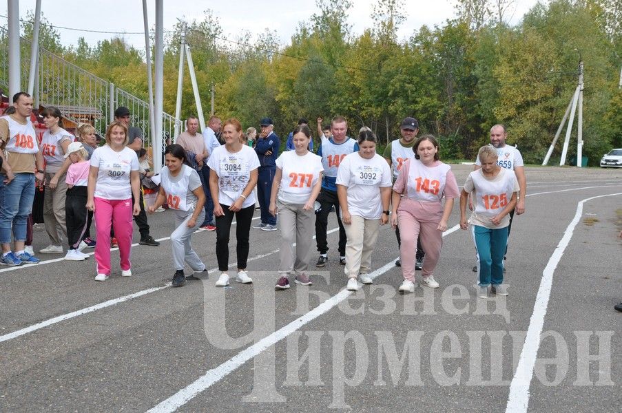 В Черемшане на Всероссийском дне бега награжденных было много (ФОТОРЕПОРТАЖ)