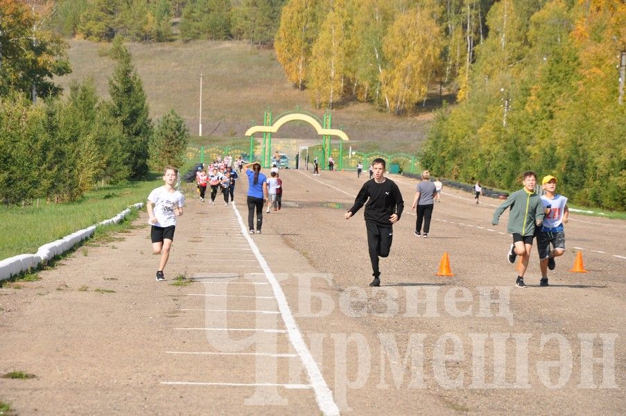 В Черемшане на Всероссийском дне бега награжденных было много (ФОТОРЕПОРТАЖ)