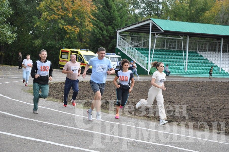 В Черемшане на Всероссийском дне бега награжденных было много (ФОТОРЕПОРТАЖ)