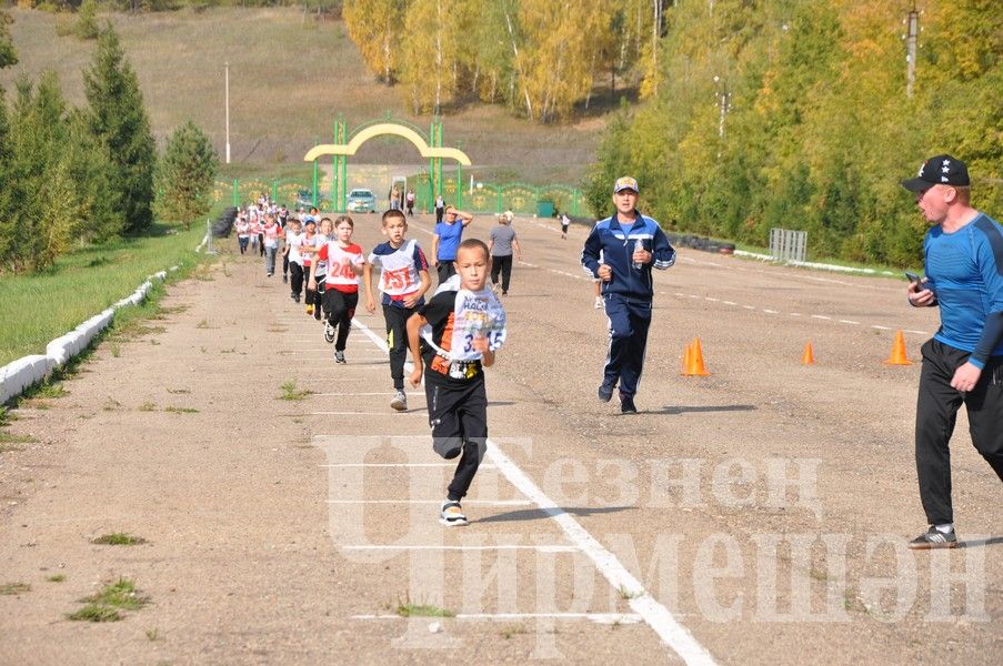 В Черемшане на Всероссийском дне бега награжденных было много (ФОТОРЕПОРТАЖ)