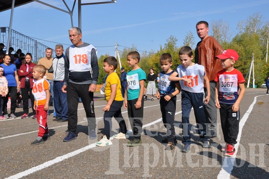 В Черемшане на Всероссийском дне бега награжденных было много (ФОТОРЕПОРТАЖ)