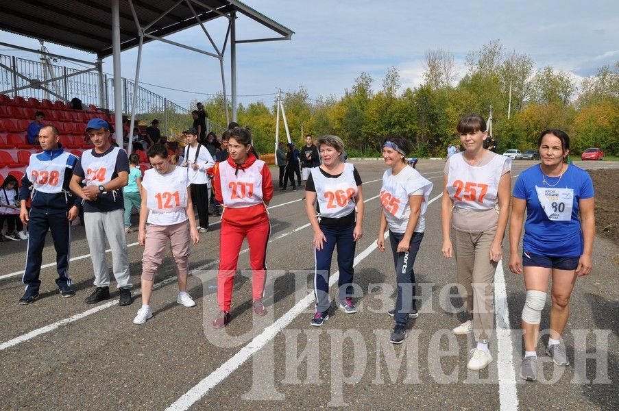 В Черемшане на Всероссийском дне бега награжденных было много (ФОТОРЕПОРТАЖ)