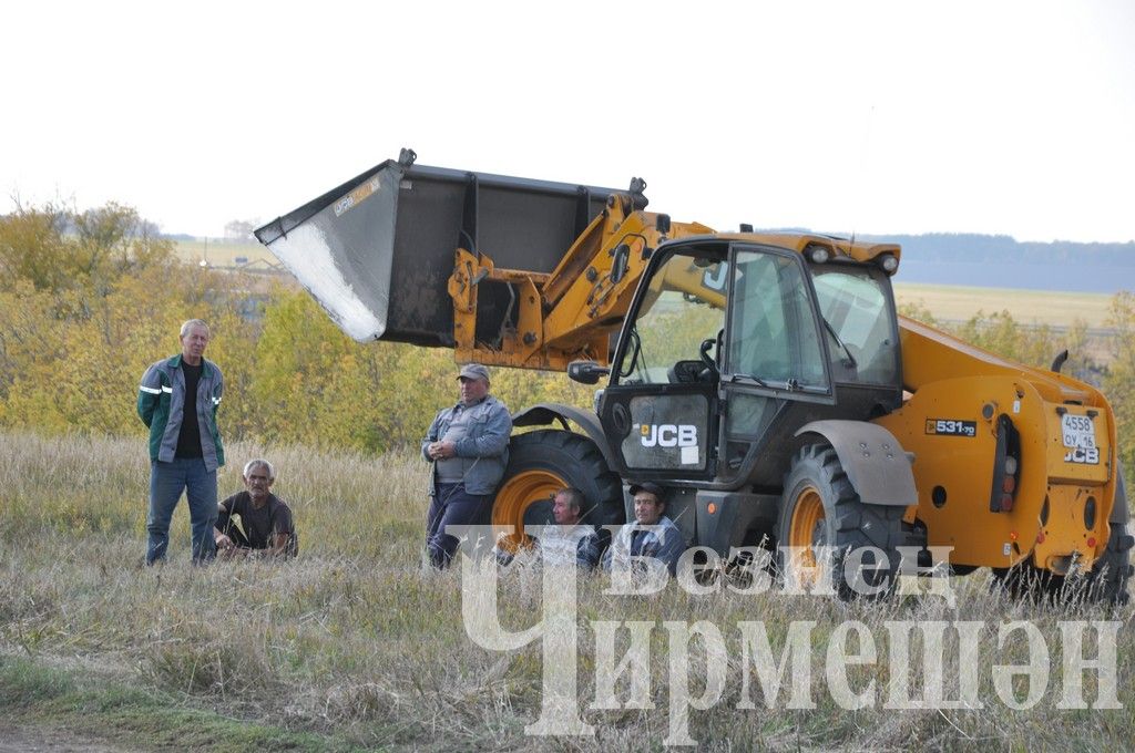 Общество "БИО-АГРО" обмолачивает подсолнечник вблизи села Мордовское Афонькино (ФОТОРЕПОРТАЖ)