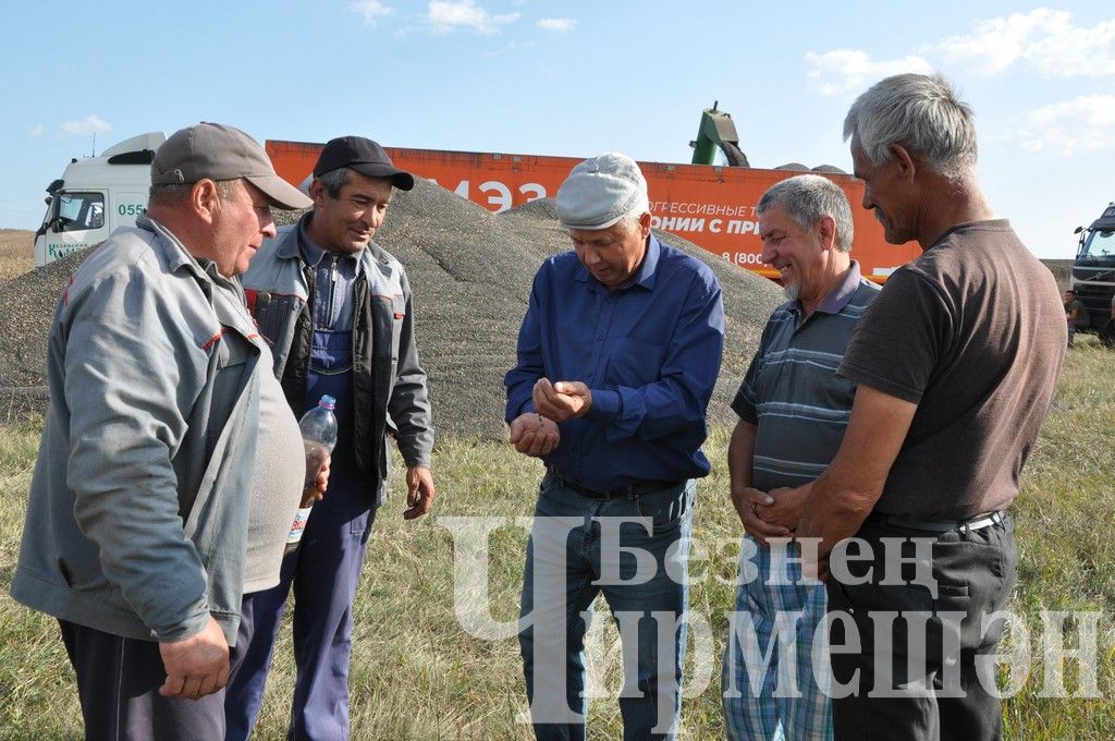 Общество "БИО-АГРО" обмолачивает подсолнечник вблизи села Мордовское Афонькино (ФОТОРЕПОРТАЖ)