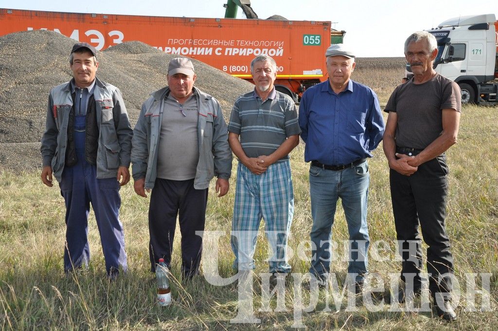 Общество "БИО-АГРО" обмолачивает подсолнечник вблизи села Мордовское Афонькино (ФОТОРЕПОРТАЖ)