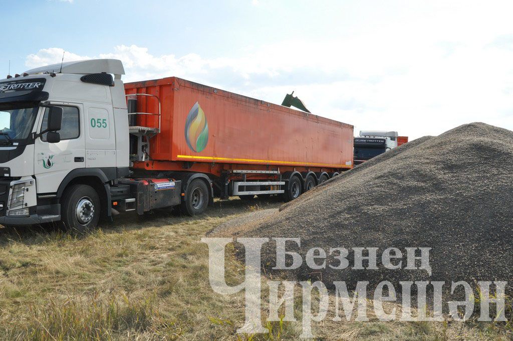 Общество "БИО-АГРО" обмолачивает подсолнечник вблизи села Мордовское Афонькино (ФОТОРЕПОРТАЖ)