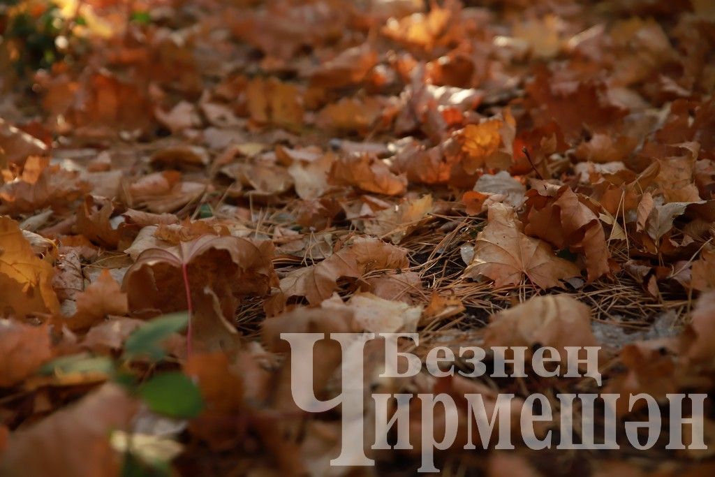 Один из теплых осенних дней в Черемшане (ФОТОРЕПОРТАЖ)