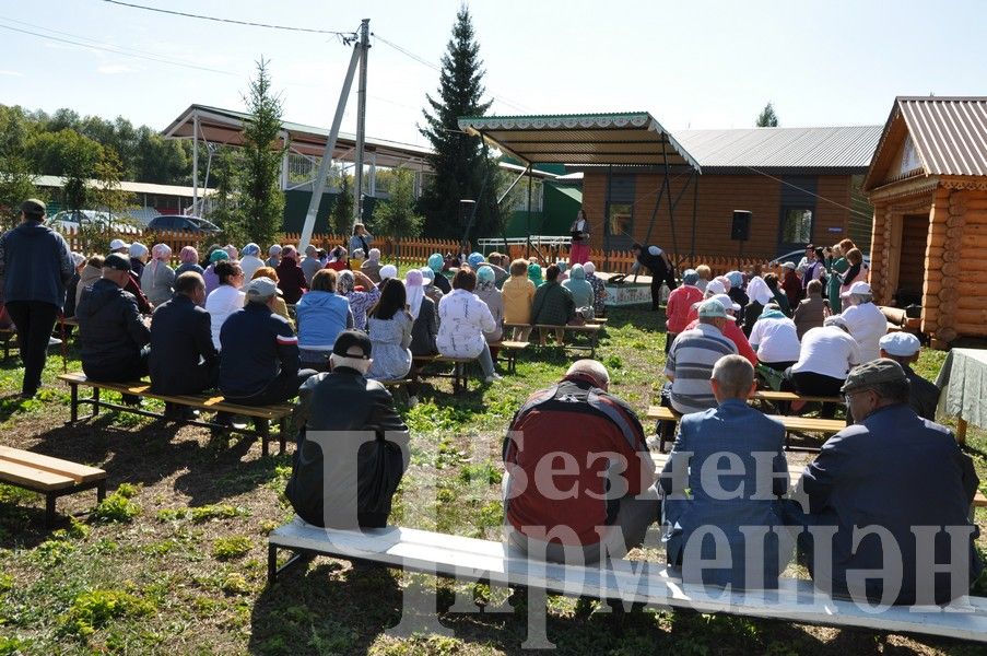 В Черемшане прошел фестиваль по скандинавской ходьбе (ФОТОРЕПОРТАЖ)