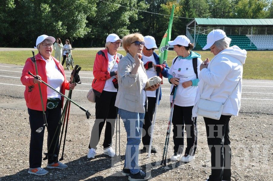 В Черемшане прошел фестиваль по скандинавской ходьбе (ФОТОРЕПОРТАЖ)