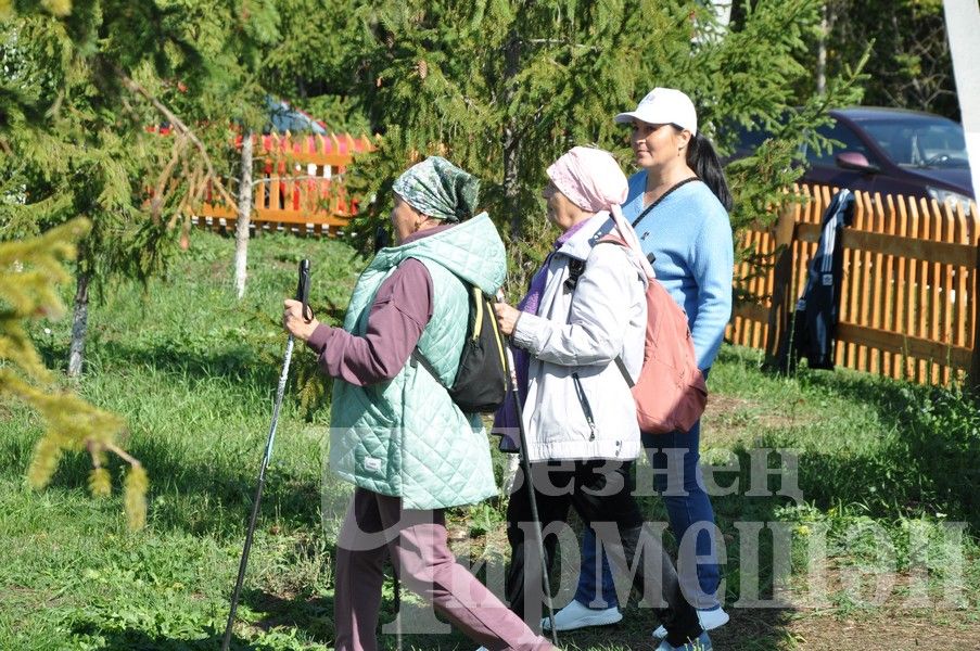 В Черемшане прошел фестиваль по скандинавской ходьбе (ФОТОРЕПОРТАЖ)