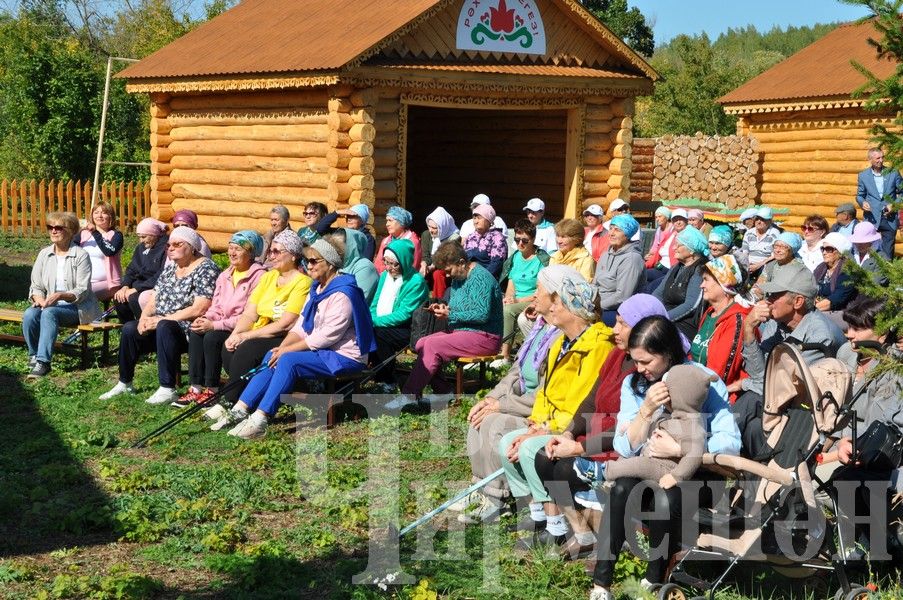 В Черемшане прошел фестиваль по скандинавской ходьбе (ФОТОРЕПОРТАЖ)