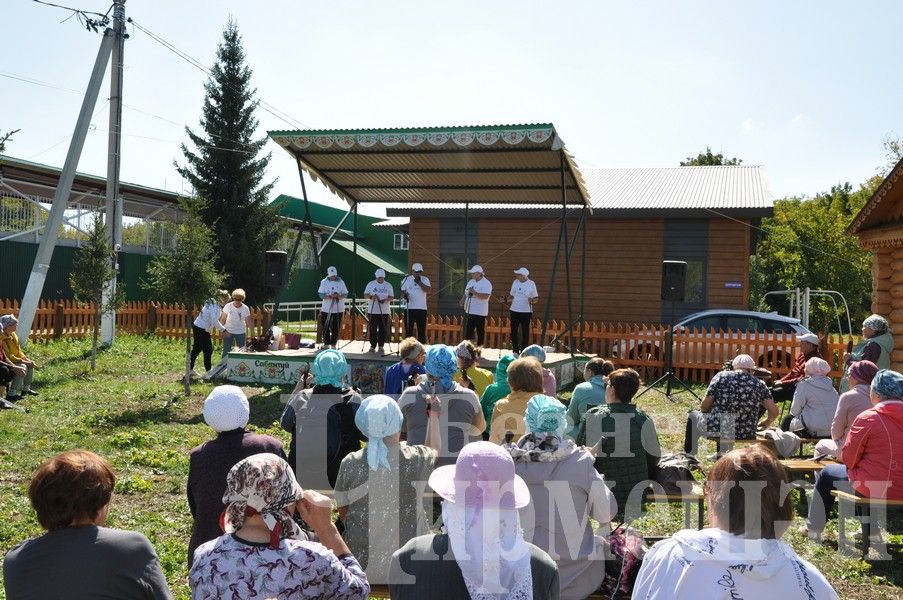 В Черемшане прошел фестиваль по скандинавской ходьбе (ФОТОРЕПОРТАЖ)