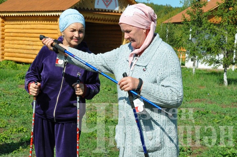 В Черемшане прошел фестиваль по скандинавской ходьбе (ФОТОРЕПОРТАЖ)