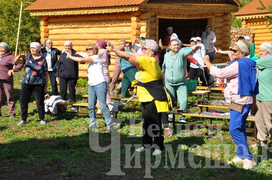 В Черемшане прошел фестиваль по скандинавской ходьбе (ФОТОРЕПОРТАЖ)