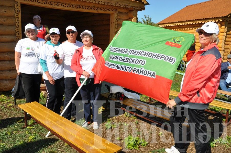 В Черемшане прошел фестиваль по скандинавской ходьбе (ФОТОРЕПОРТАЖ)