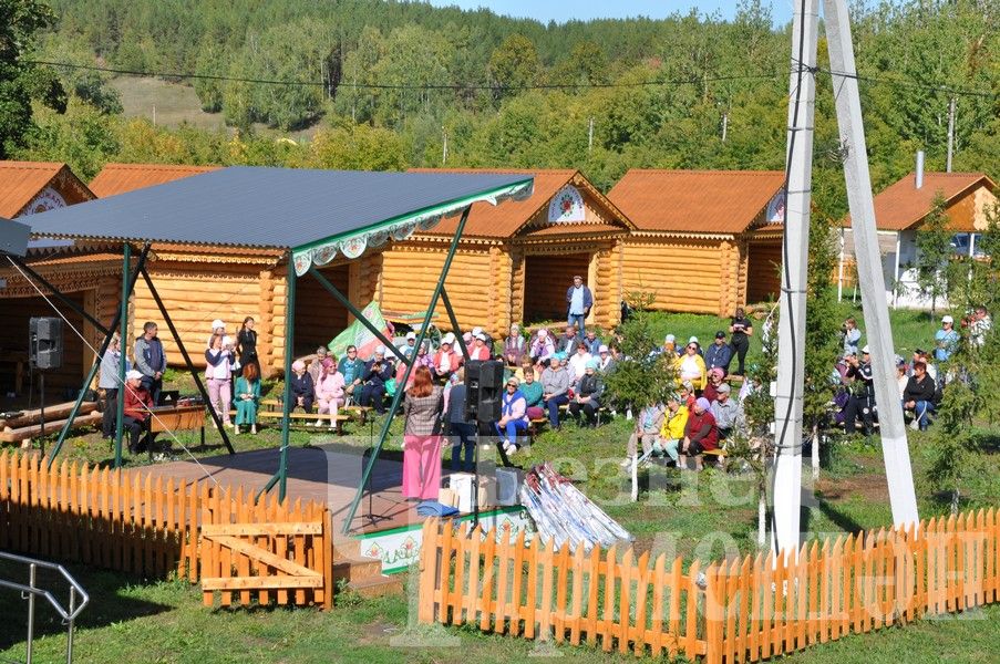 В Черемшане прошел фестиваль по скандинавской ходьбе (ФОТОРЕПОРТАЖ)