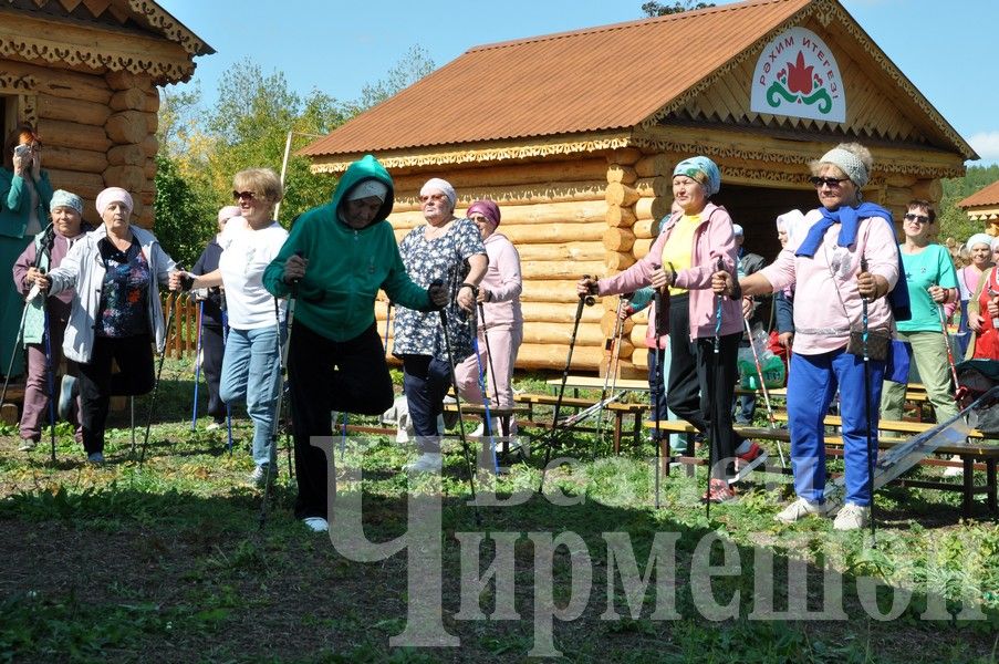 В Черемшане прошел фестиваль по скандинавской ходьбе (ФОТОРЕПОРТАЖ)