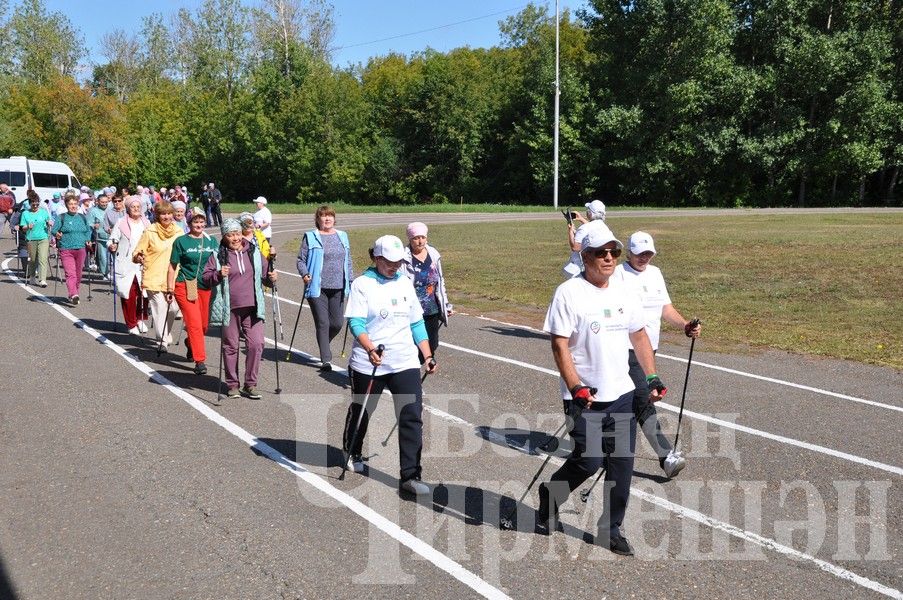 В Черемшане прошел фестиваль по скандинавской ходьбе (ФОТОРЕПОРТАЖ)