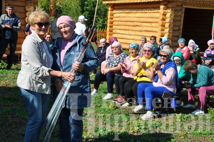 В Черемшане прошел фестиваль по скандинавской ходьбе (ФОТОРЕПОРТАЖ)