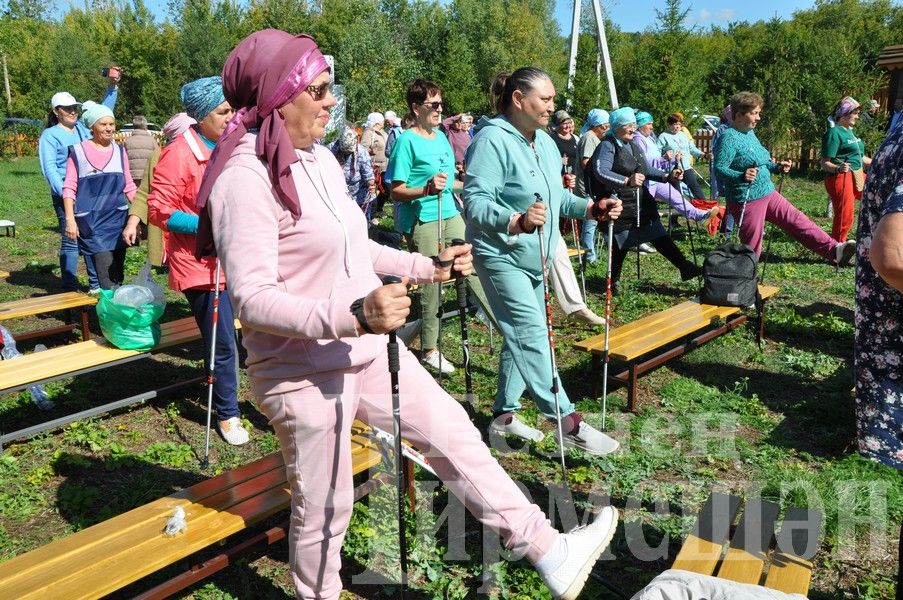 В Черемшане прошел фестиваль по скандинавской ходьбе (ФОТОРЕПОРТАЖ)