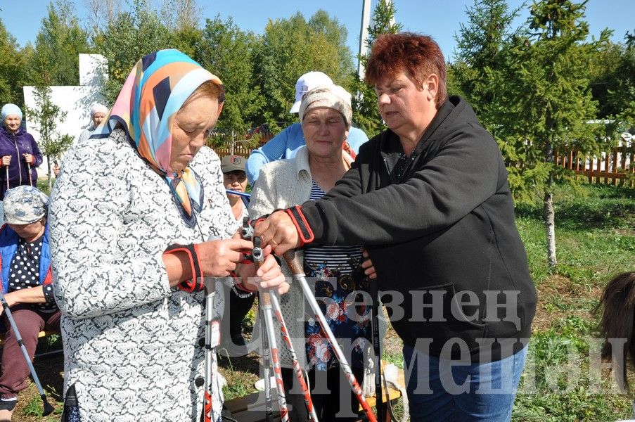 В Черемшане прошел фестиваль по скандинавской ходьбе (ФОТОРЕПОРТАЖ)