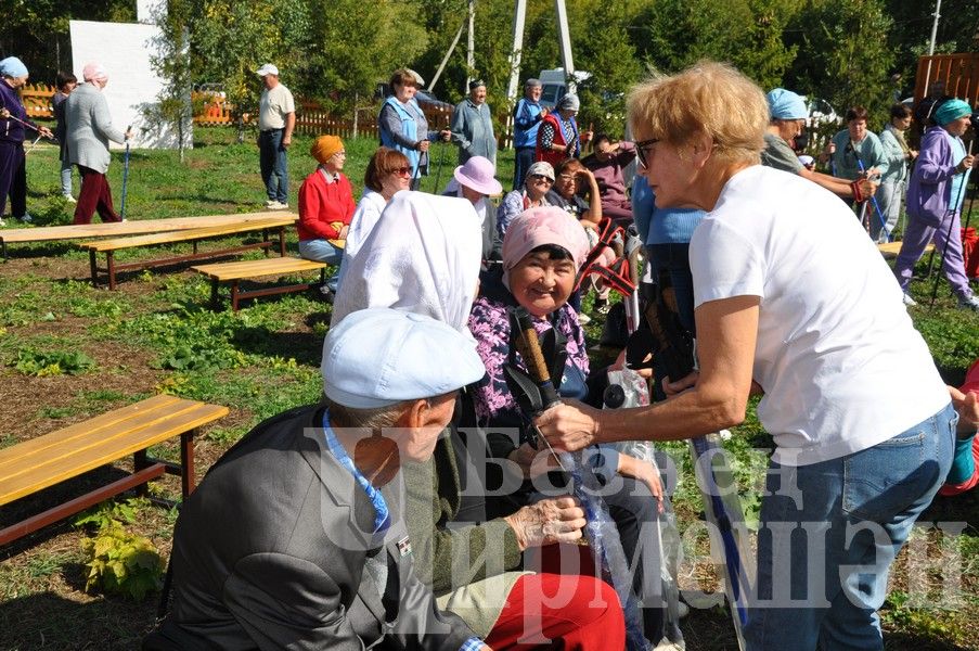 В Черемшане прошел фестиваль по скандинавской ходьбе (ФОТОРЕПОРТАЖ)