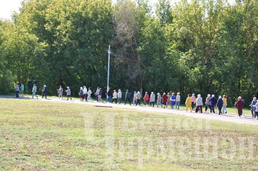 В Черемшане прошел фестиваль по скандинавской ходьбе (ФОТОРЕПОРТАЖ)