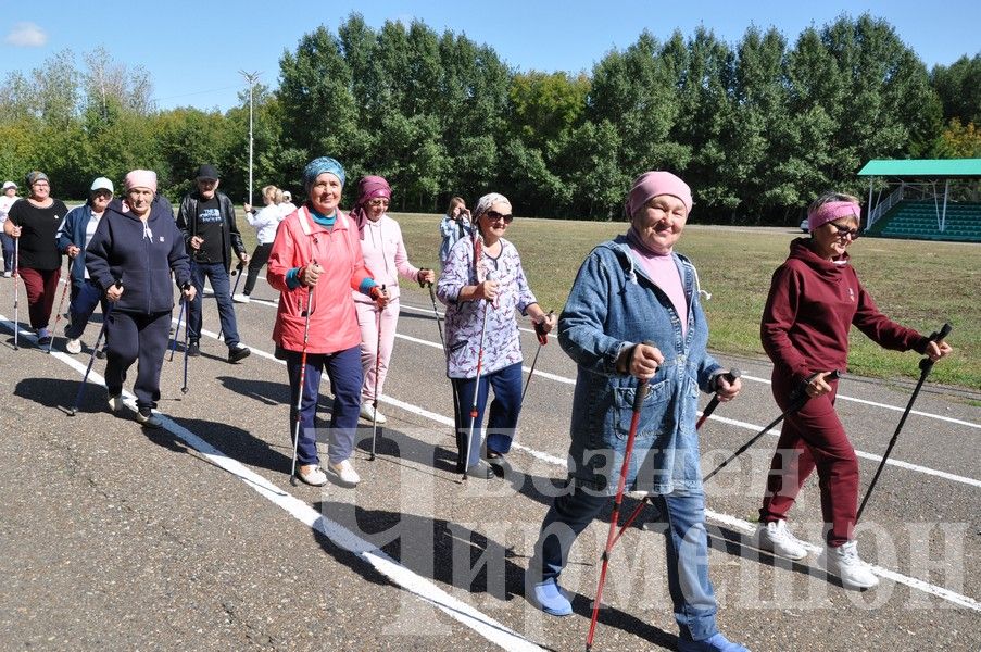 В Черемшане прошел фестиваль по скандинавской ходьбе (ФОТОРЕПОРТАЖ)