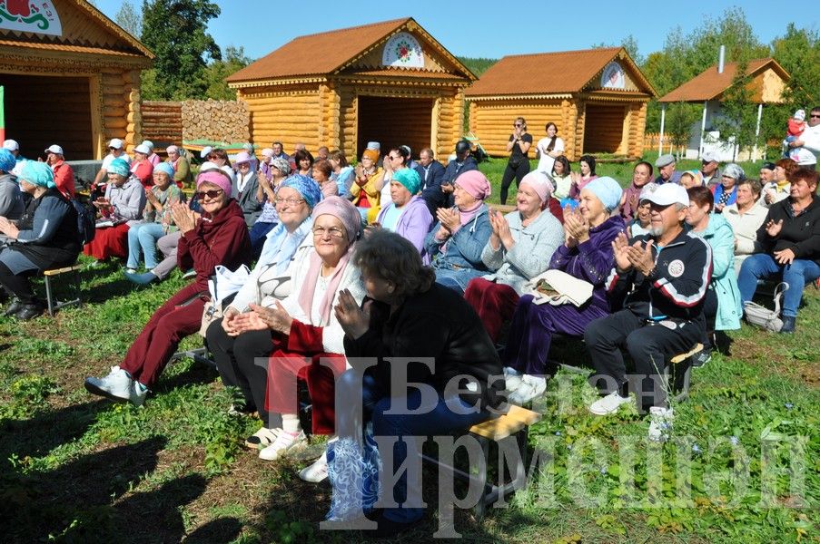 В Черемшане прошел фестиваль по скандинавской ходьбе (ФОТОРЕПОРТАЖ)