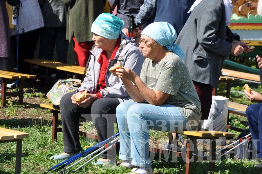 В Черемшане прошел фестиваль по скандинавской ходьбе (ФОТОРЕПОРТАЖ)