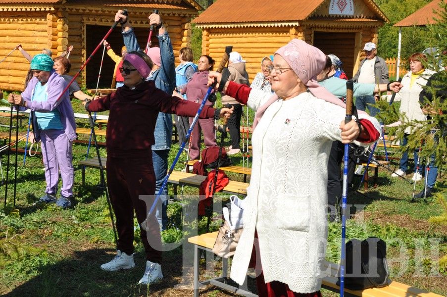 В Черемшане прошел фестиваль по скандинавской ходьбе (ФОТОРЕПОРТАЖ)