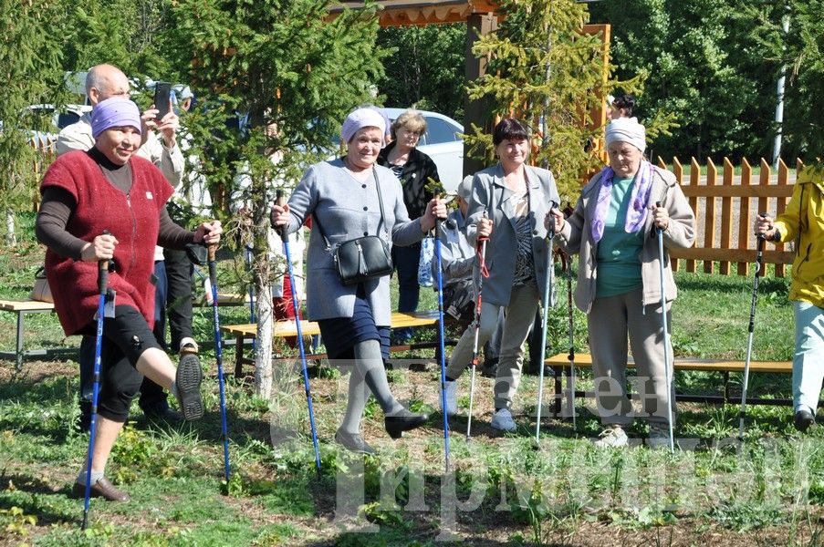 В Черемшане прошел фестиваль по скандинавской ходьбе (ФОТОРЕПОРТАЖ)