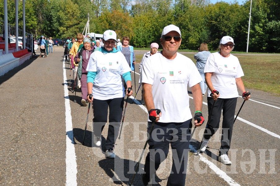 В Черемшане прошел фестиваль по скандинавской ходьбе (ФОТОРЕПОРТАЖ)