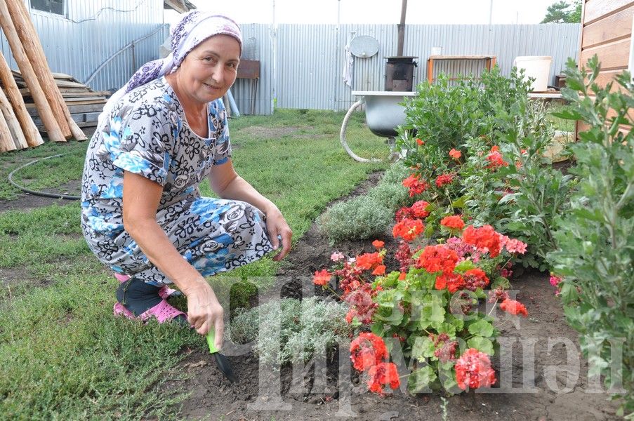 Дом Абдуллаевых из Якты Тау привлекает гостей (ФОТОРЕПОРТАЖ)