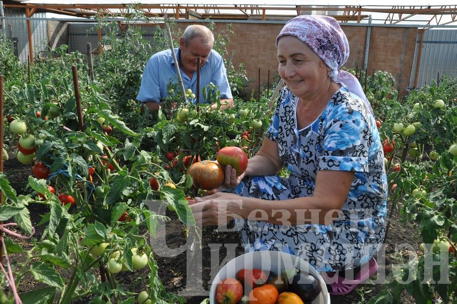 Дом Абдуллаевых из Якты Тау привлекает гостей (ФОТОРЕПОРТАЖ)