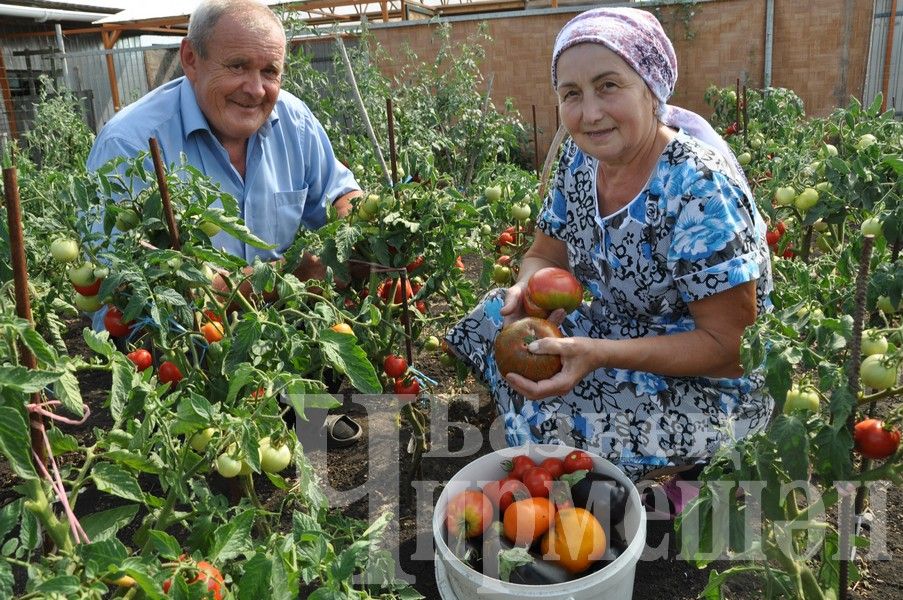 Дом Абдуллаевых из Якты Тау привлекает гостей (ФОТОРЕПОРТАЖ)