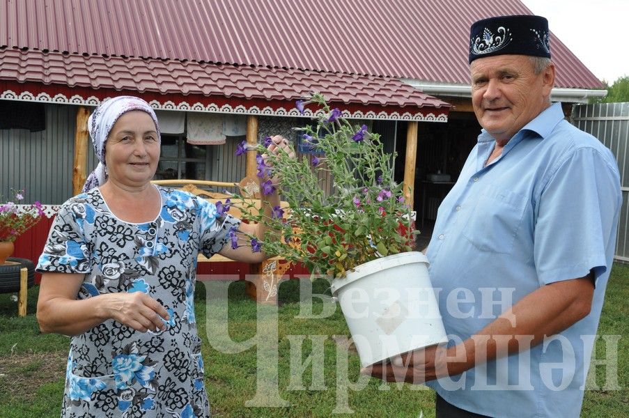 Дом Абдуллаевых из Якты Тау привлекает гостей (ФОТОРЕПОРТАЖ)