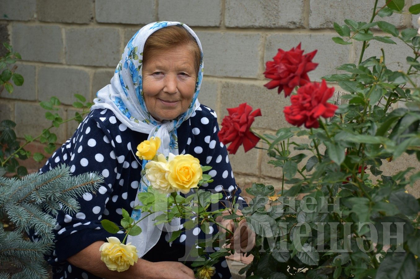 С Днем пожилых людей – праздником мудрости и добра! (ФОТОРЕПОРТАЖ)