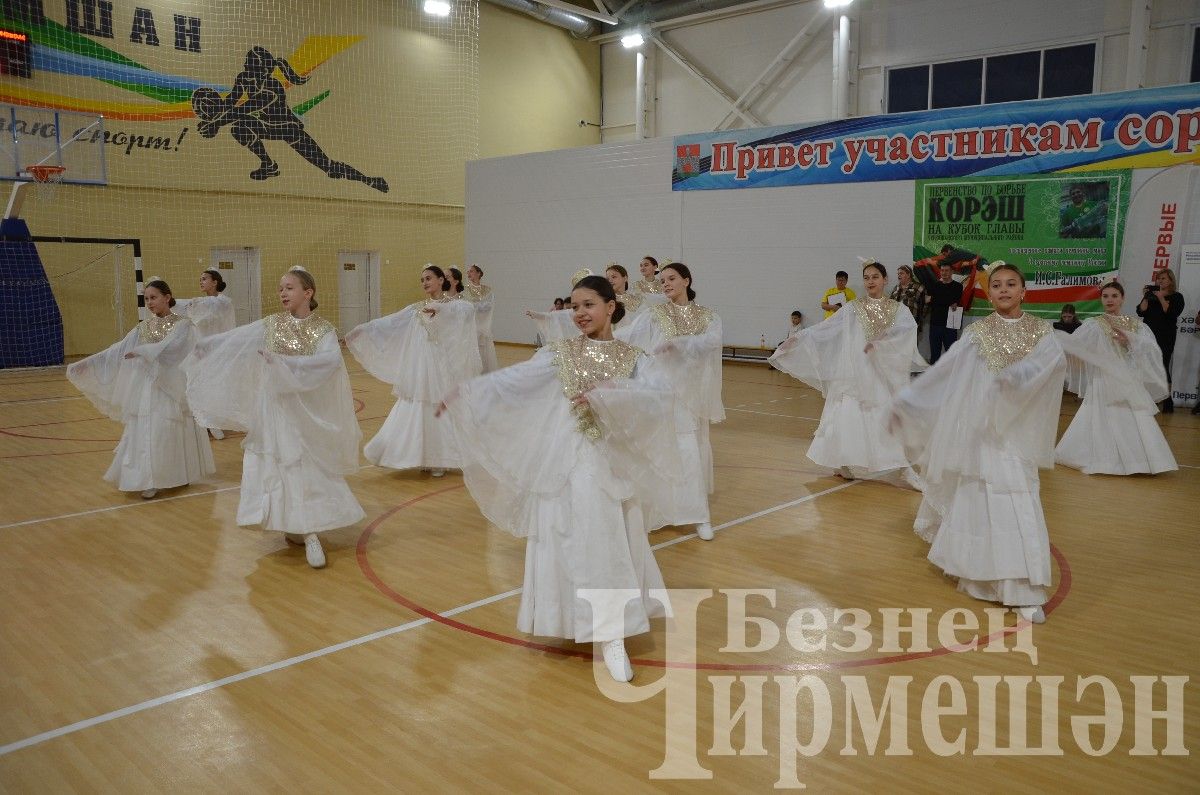 Чирмешәндә яшь гаиләләр "Әти булдыра!" бәйгесендә көч сынаштылар (ФОТОРЕПОРТАЖ)