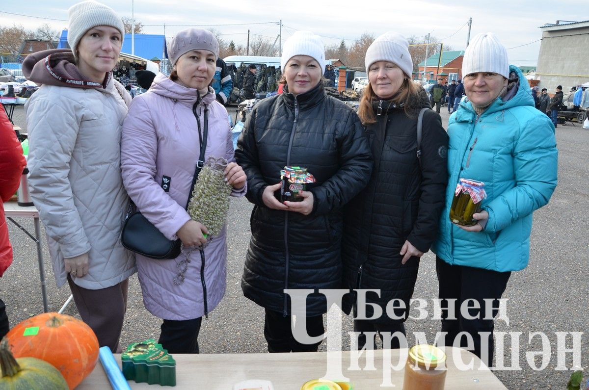 Чирмешән лицее "Игелек ярминкәсе"ндә сату итте (ФОТОРЕПОРТАЖ)