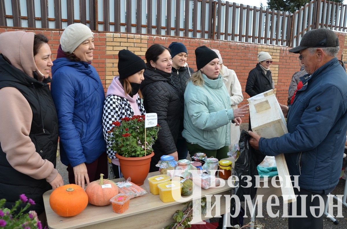 Чирмешән лицее "Игелек ярминкәсе"ндә сату итте (ФОТОРЕПОРТАЖ)