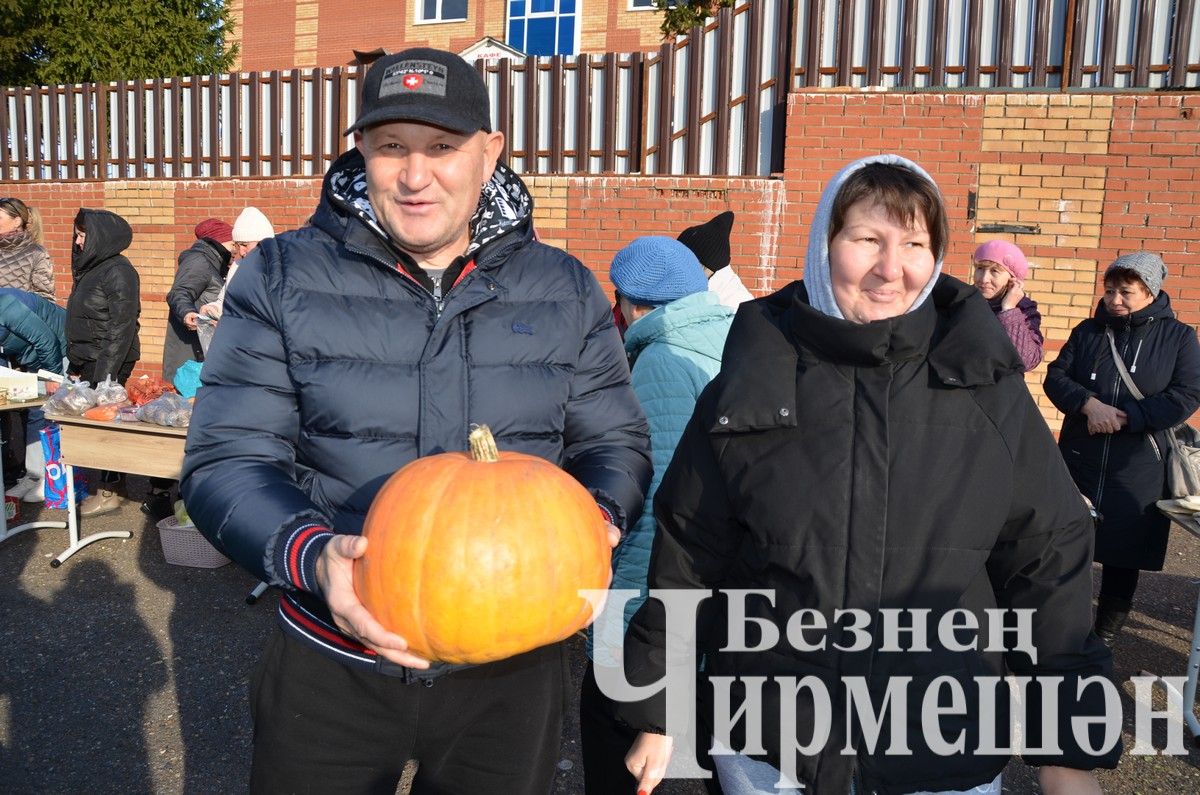 Чирмешән лицее "Игелек ярминкәсе"ндә сату итте (ФОТОРЕПОРТАЖ)