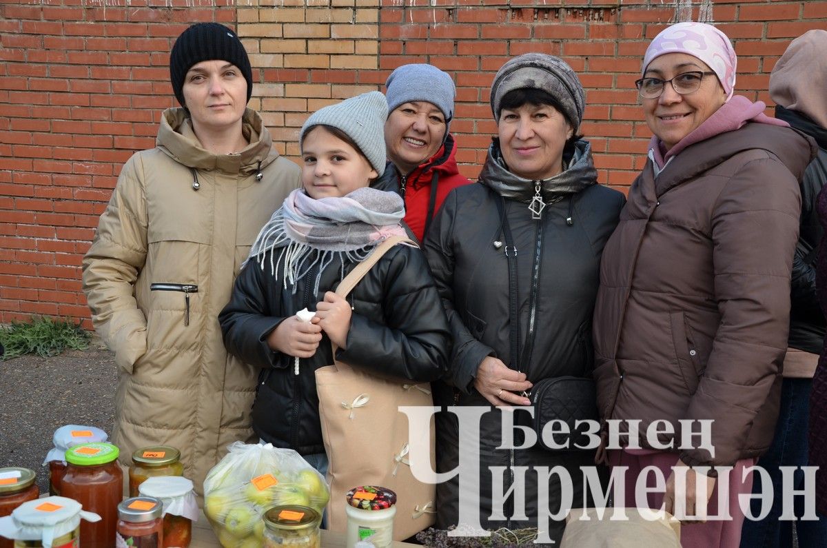 Чирмешән лицее "Игелек ярминкәсе"ндә сату итте (ФОТОРЕПОРТАЖ)