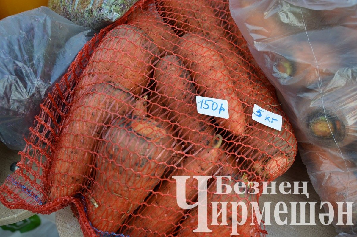 Черемшанский лицей принял участие в "Ярмарке добра" (ФОТОРЕПОПТАЖ)