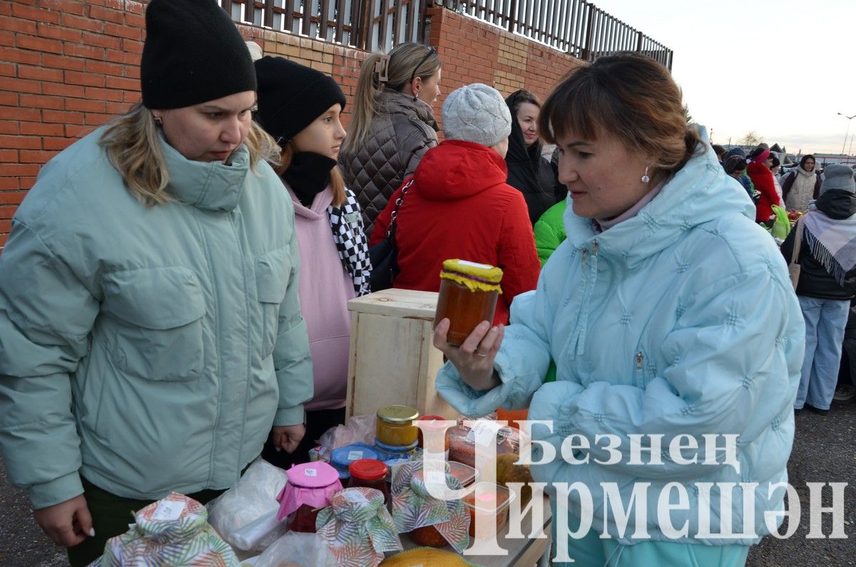 Чирмешән лицее "Игелек ярминкәсе"ндә сату итте (ФОТОРЕПОРТАЖ)