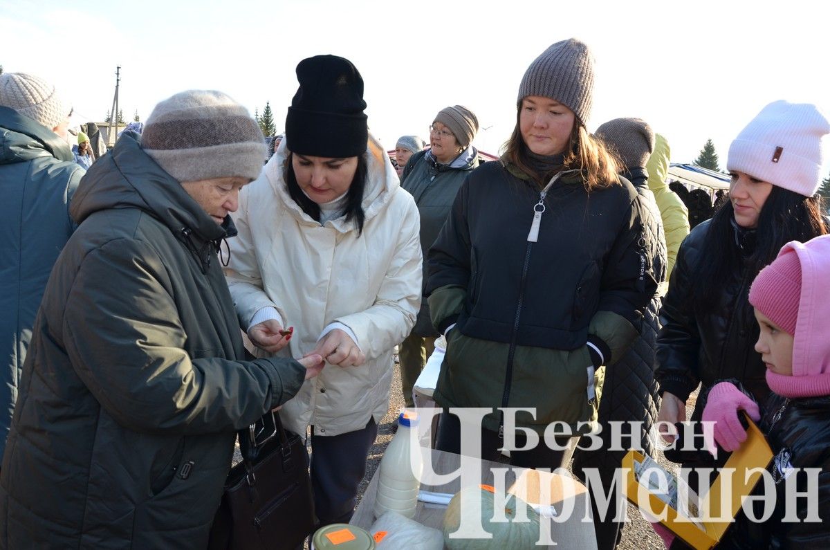 Черемшанский лицей принял участие в "Ярмарке добра" (ФОТОРЕПОПТАЖ)